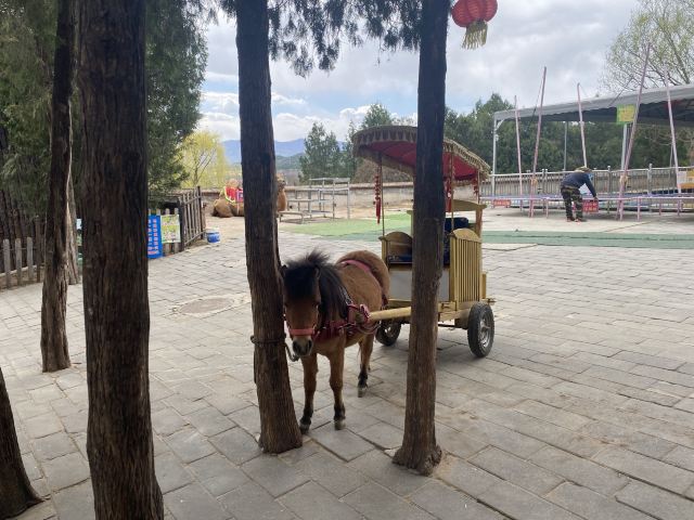 北京圣泉山旅游风景区旅行图片 3
