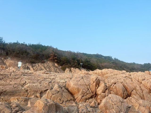 宁波松兰山滨海旅游度假区旅行图片 2