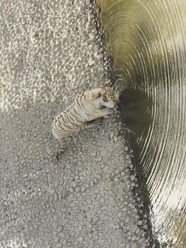 太原动物园旅行图片 1