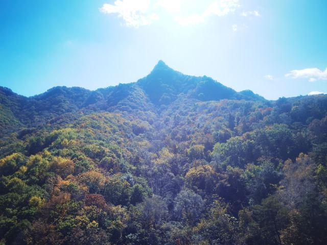 鸡冠山国家森林公园旅行图片 2
