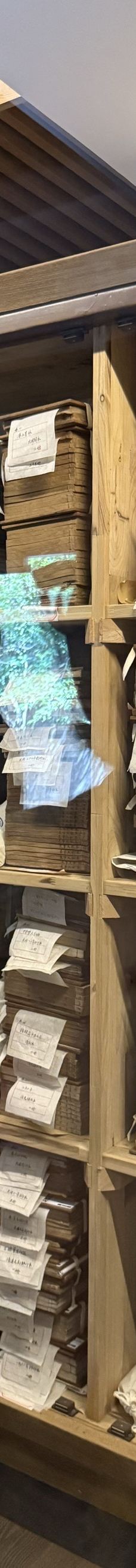 天一阁·月湖景区-宁波-小妮子在旅行