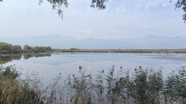 野鸭湖国家湿地公园旅行图片 2