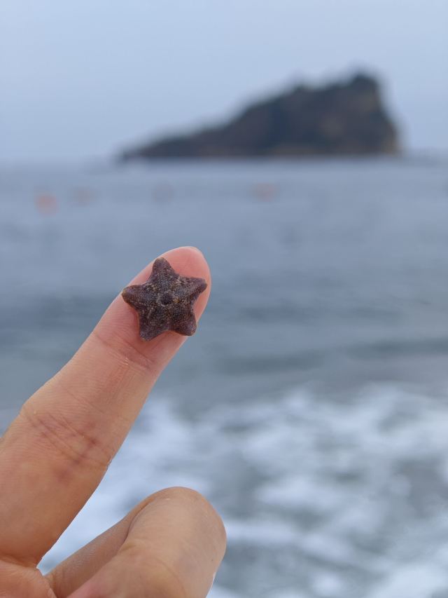 棒棰岛旅行图片 9