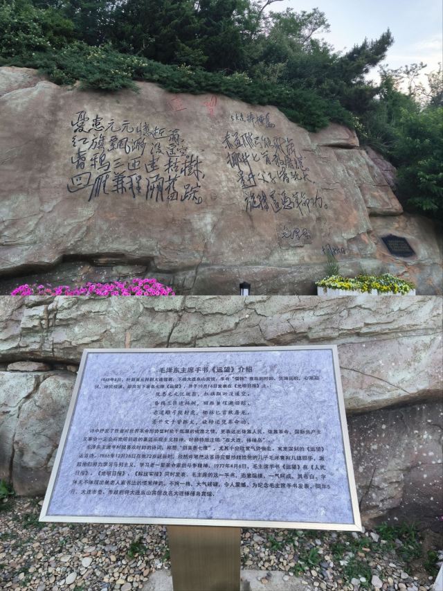 棒棰岛旅行图片 2