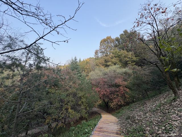 秦岭国家植物园旅行图片 2