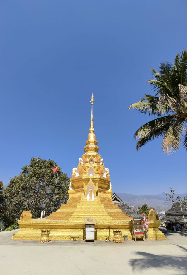 西双版纳独树成林景区旅行图片 1