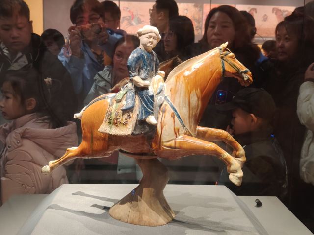 西安博物院旅行图片 2