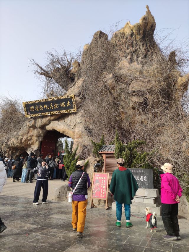 洪洞大槐树寻根祭祖园旅行图片 1