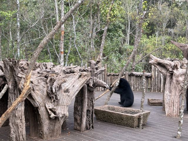 普洱国家公园犀牛坪景区旅行图片 5
