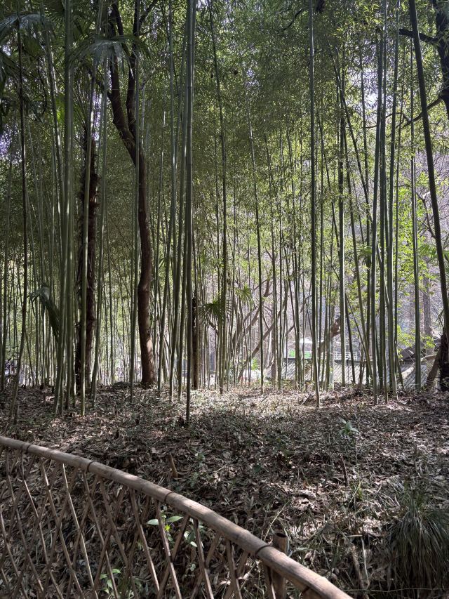 绍兴东湖风景区旅行图片 2