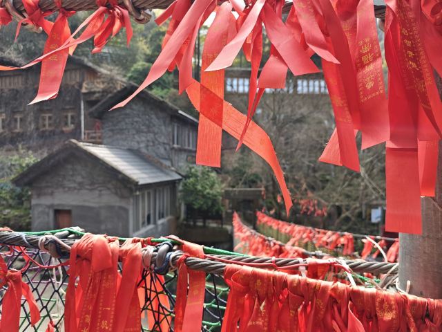 吹台山森林公园旅行图片 6