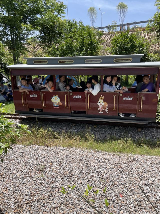 咸宁松鼠部落森林假日公园旅行图片 2