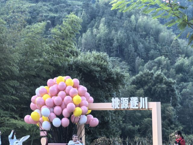 桃源梯田景区旅行图片 1