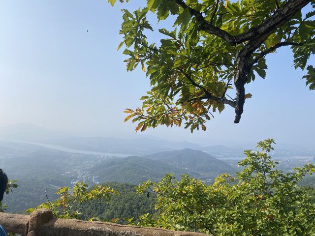 朱雀山国家森林公园旅行图片 2