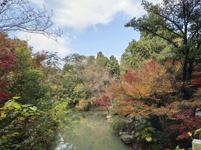 啬园旅行图片 3