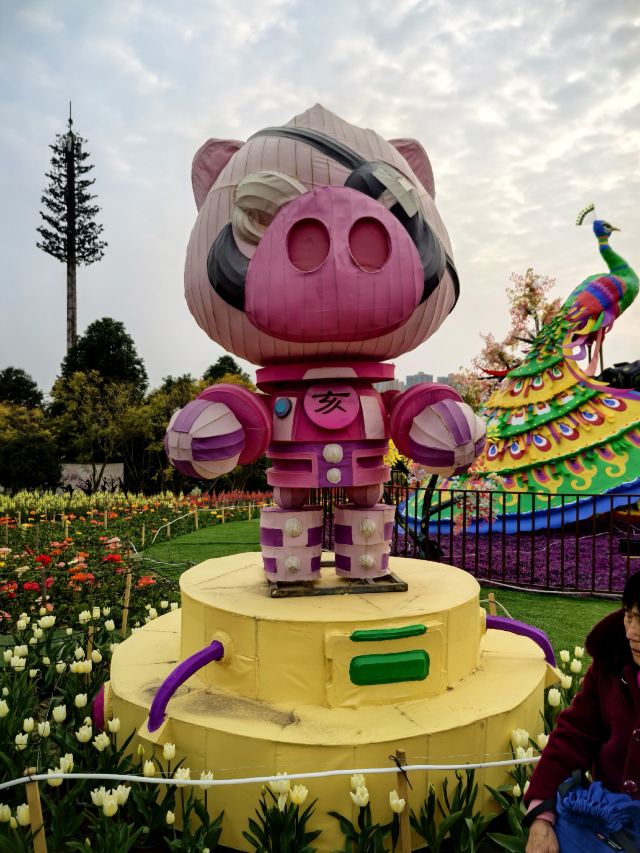 音乐·百花谷旅行图片 5