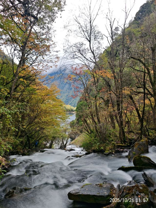 叠溪松坪沟景区旅行图片 1