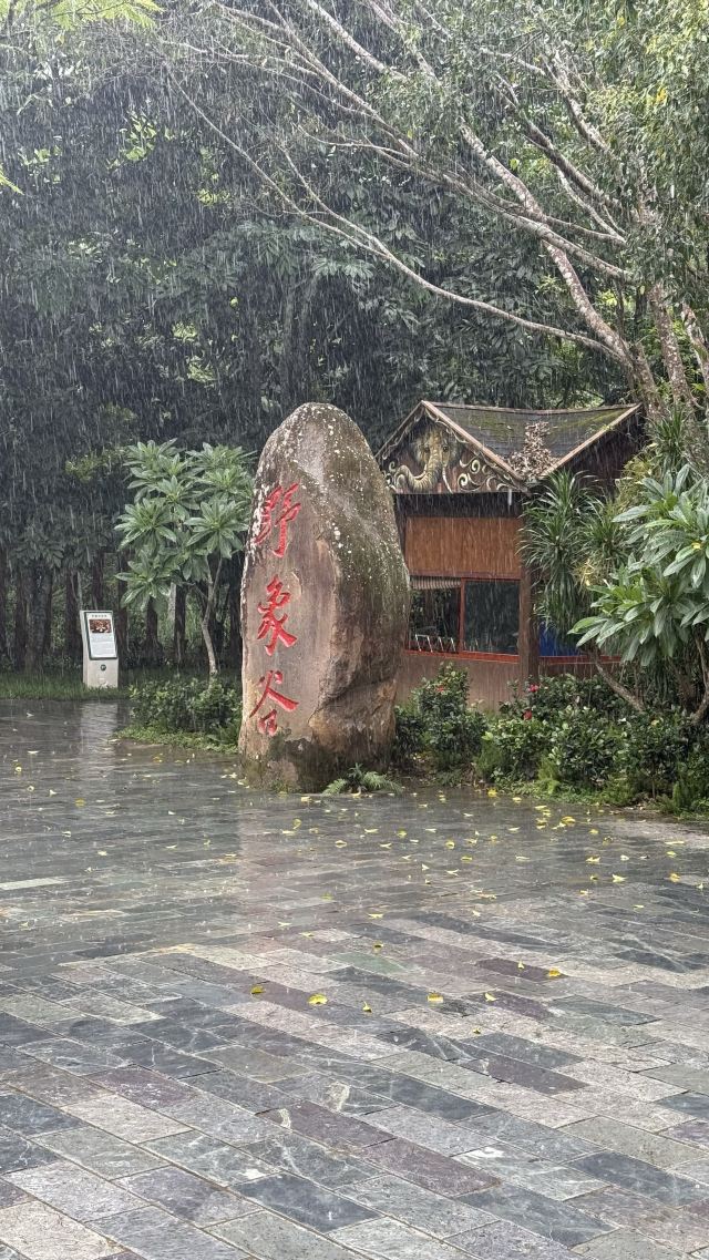 野象谷景区旅行图片 8