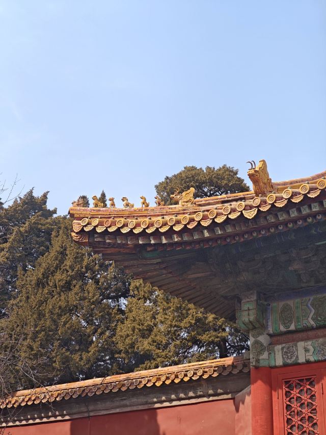 故宫博物院旅行图片 4