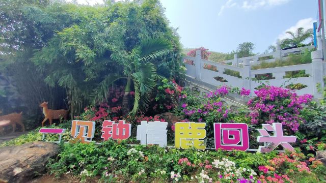 鹿回头风景区旅行图片 1