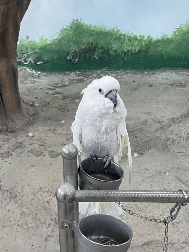 牡丹江珍稀动物园旅行图片 3