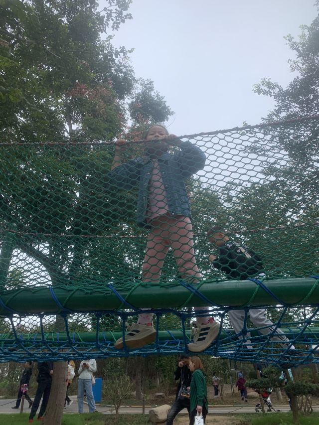 南京森林大世界旅行图片 1