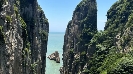 桃花寨