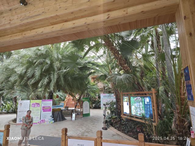 国信南山温泉旅行图片 2