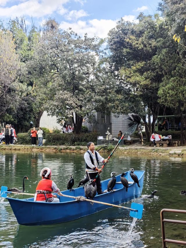 蝴蝶泉旅行图片 9