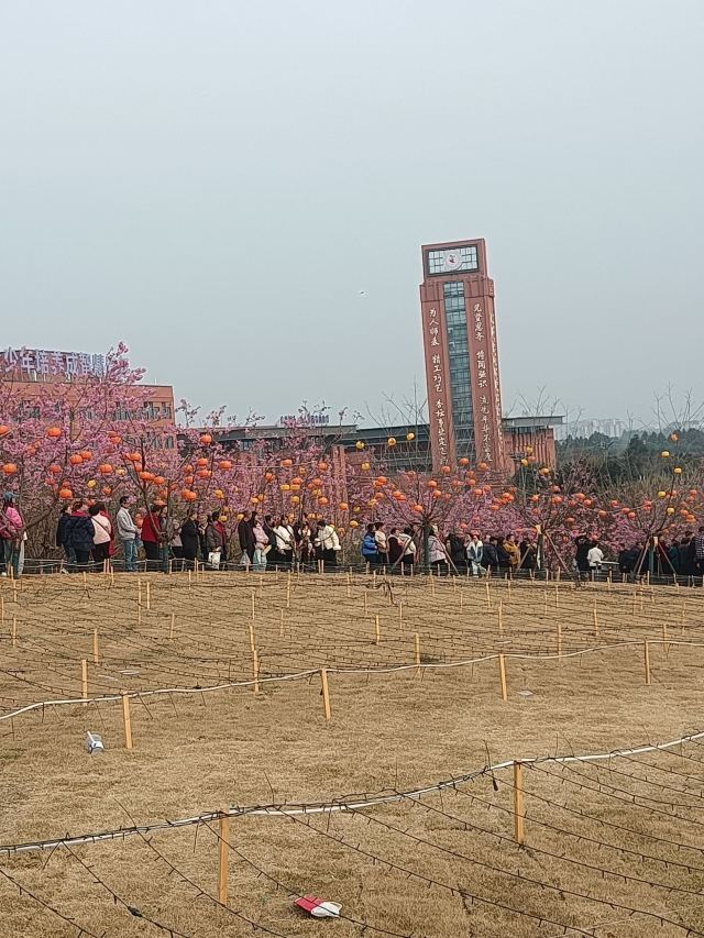 音乐·百花谷旅行图片 6