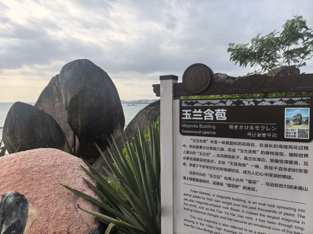 天涯海角游览区旅行图片 2