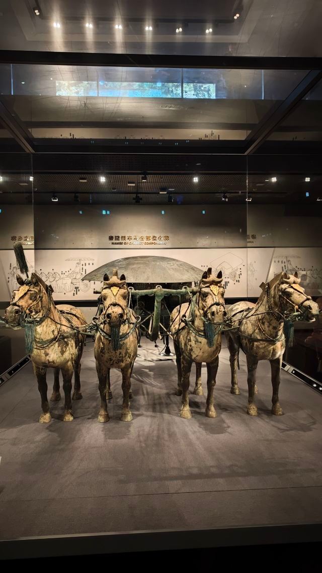 秦始皇帝陵博物院旅行图片 2