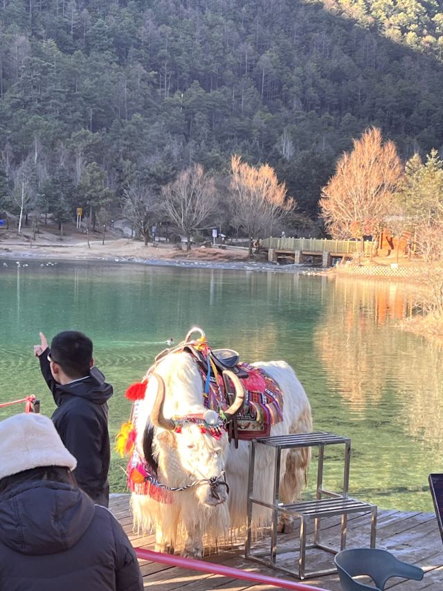 冰川公园大索道旅行图片 2
