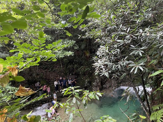 箬寮原始森林旅行图片 3