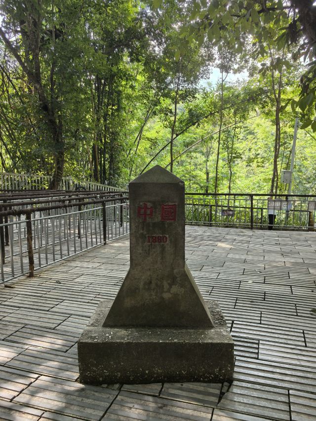 西双版纳独树成林景区旅行图片 2