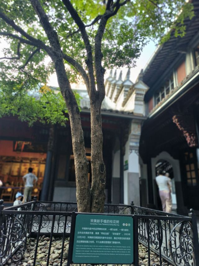 人间弥勒旅行图片 4
