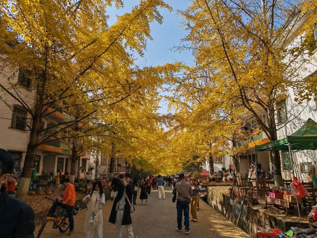 南雄帽子峰旅游景区旅行图片 3