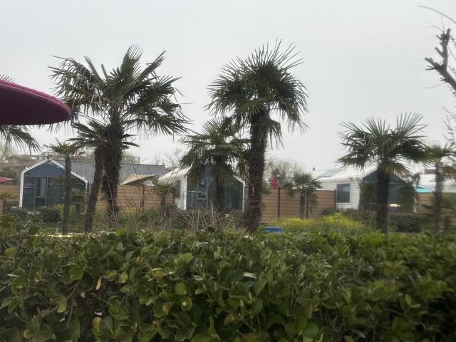 花都国际温泉度假小镇旅行图片 1
