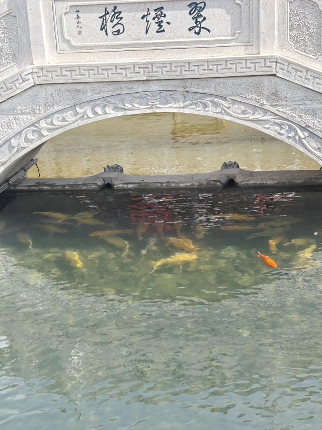 石头记千山大观园旅行图片 1