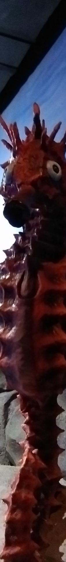 呼和浩特-YoYo_4Q2G9A7C