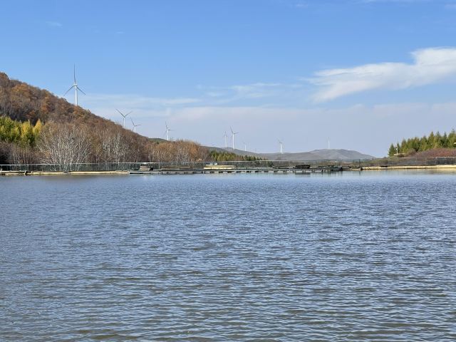 丰宁坝上草原旅行图片 1
