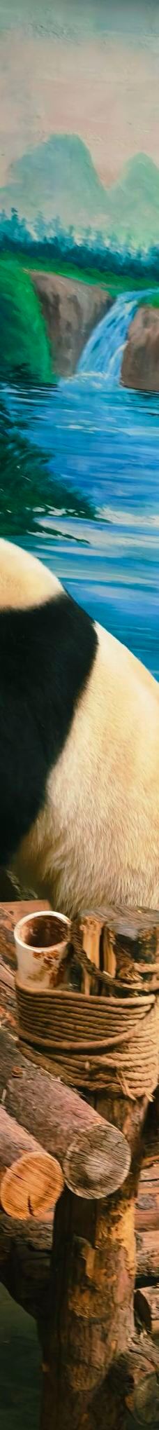 西宁熊猫馆-西宁-YoYo_1T3S6Y2P