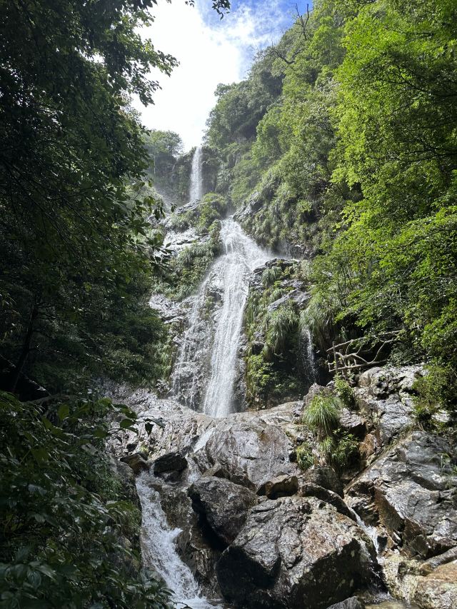 箬寮原始森林旅行图片 3