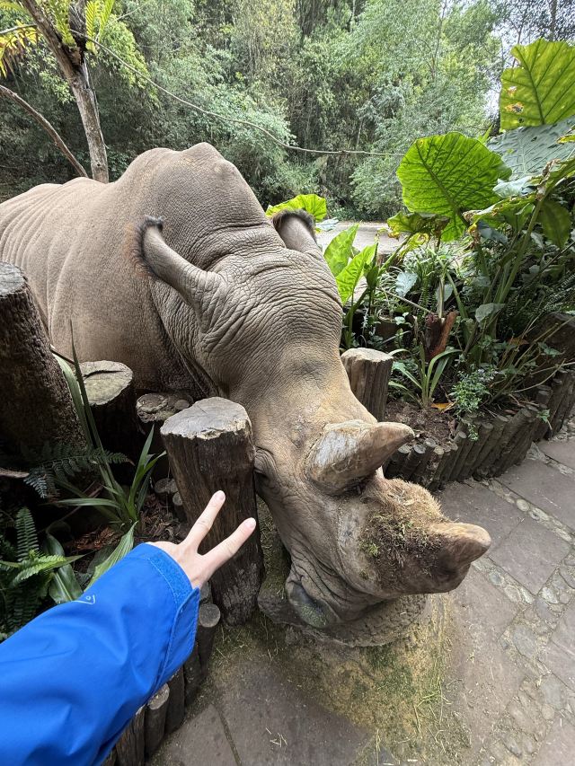普洱太阳河森林公园旅行图片 5