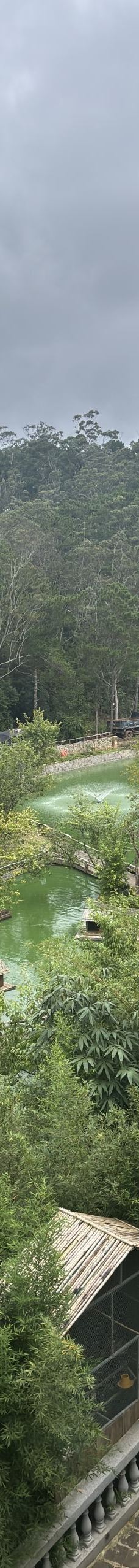 大叻-🇨🇳Jacky Fan