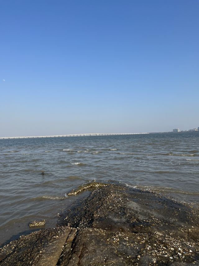 集美鳌园景区旅行图片 2