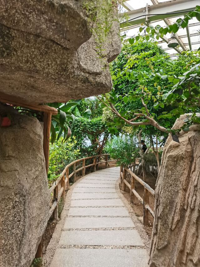 石家庄植物园旅行图片 1
