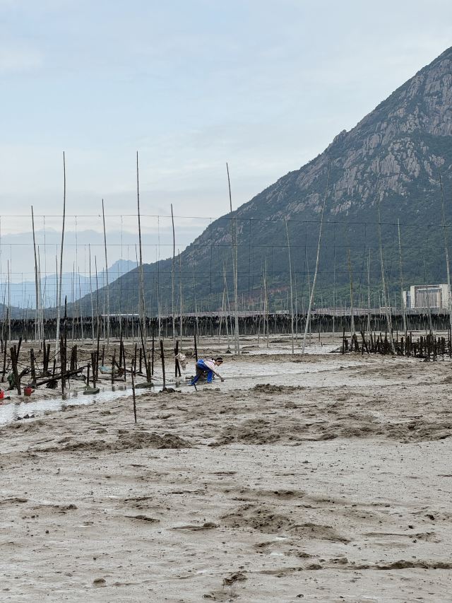 霞浦牛屿滩涂赶海体验中心旅行图片 1