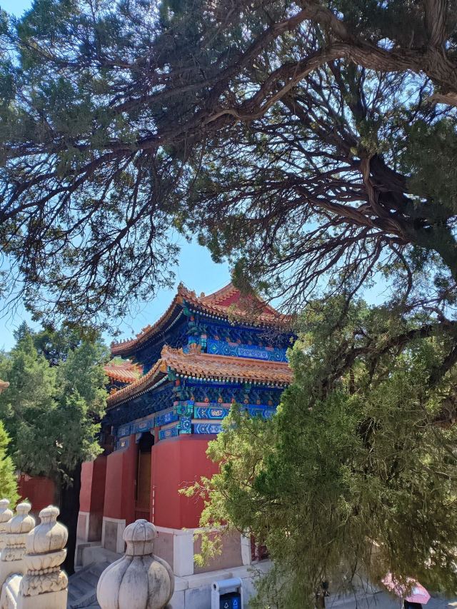 国子监旅行图片 8