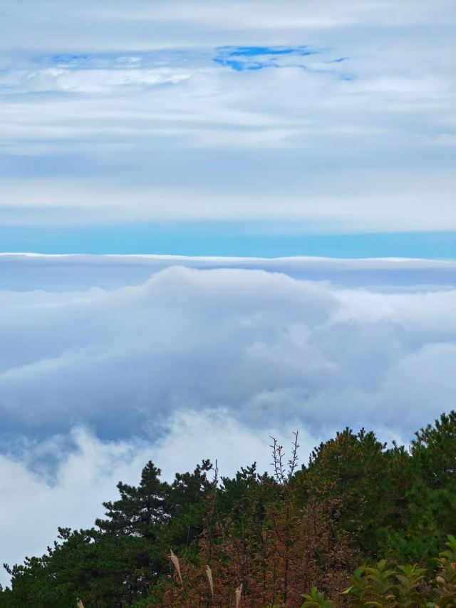 天岳幕阜山森林公园旅行图片 7